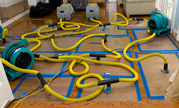 Professional Basement Flood Cleanup technician working in Mission, TX